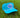 Busch Latte Blue Retro Cap