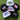 Patch Hats